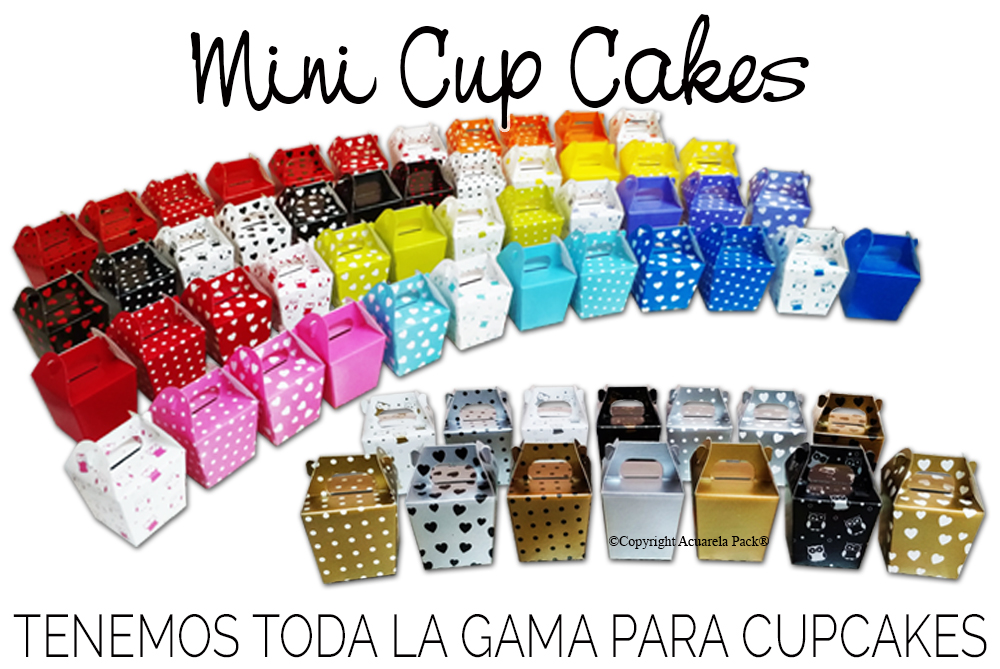 1270 Caja Mini Cupcake